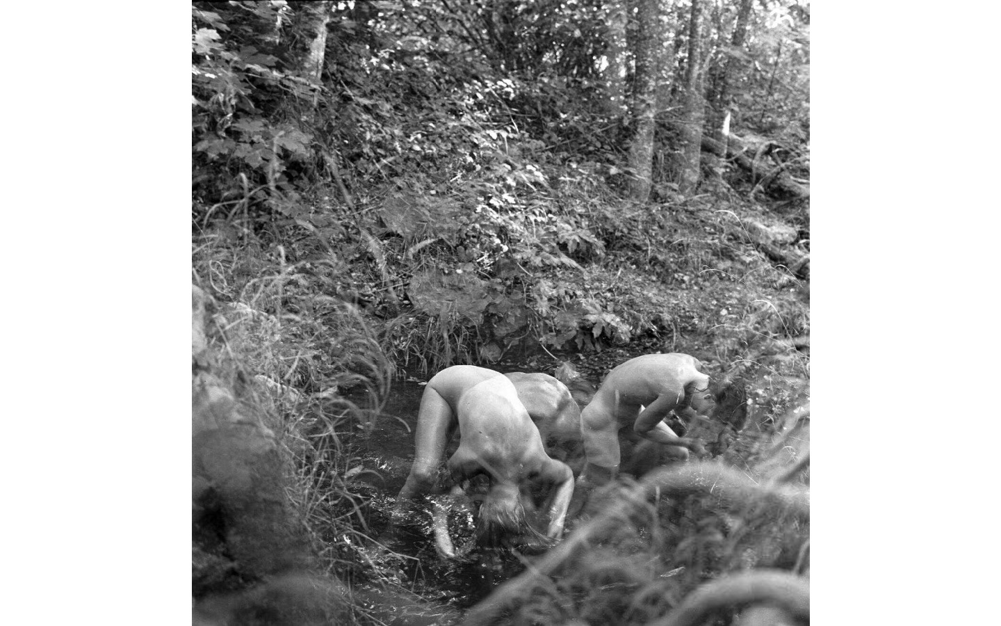 Lesbian commune Oregon 1970s