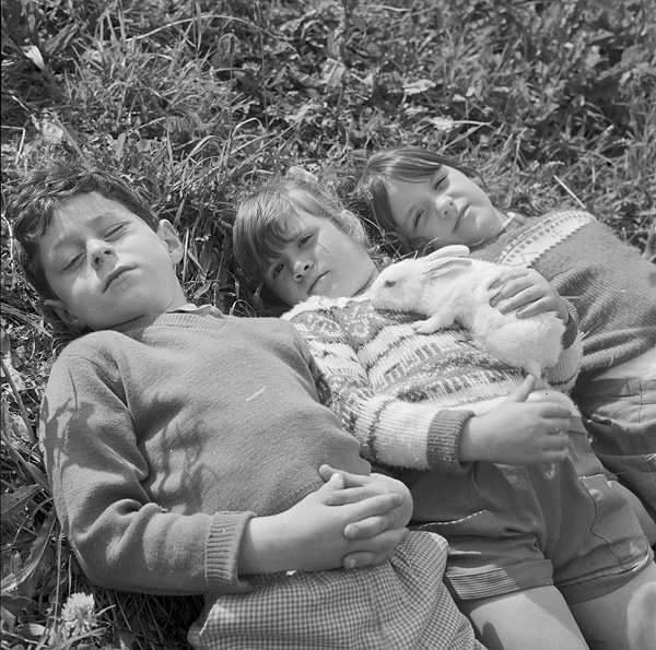 Llangefni children enjoying the sun with their pet rabbit Teitl Cymraeg/Welsh title: Plant Llangefni yn mwynhau yr haul gyda'u gwningen anwes Ffotograffydd/Photographer: Geoff Charles (1909-2002) Dyddiad/Date: July 1, 1964
