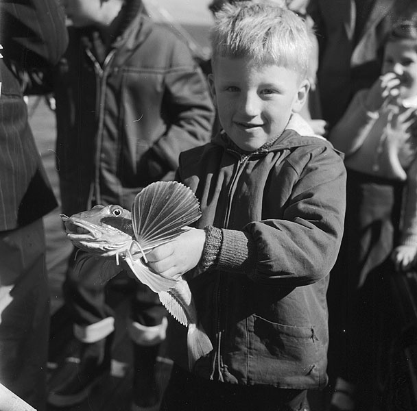 Llandudno Sea Fishing Society competition Teitl Cymraeg/Welsh title: Cystadleuaeth bysgota Cymdeithas Bysgota Môr Llandudno Ffotograffydd/Photographer: Geoff Charles (1909-2002) Dyddiad/Date: September 20, 1962.