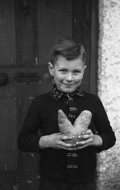 Ian Williams of Trewern, Welshpool who dug up a "V-shaped" for victory potato Teitl Cymraeg/Welsh title: Ian Williams, Ysgol Trewern, Trallwng a ddarganfu daten siap 'V' (am fuddugoliaeth). Ffotograffydd/Photographer: Geoff Charles (1909-2002) Dyddiad/Date: November 1, 1941.