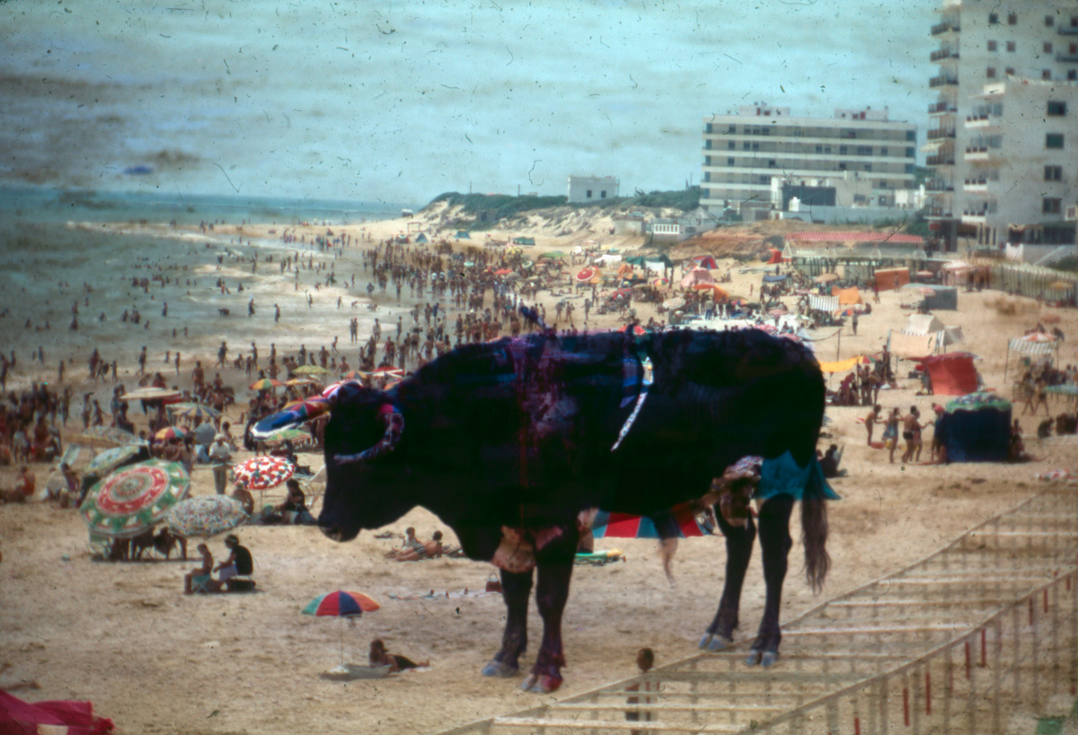 Ian Task collage Kodachrome