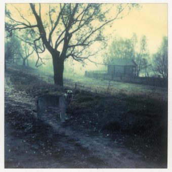 27 Gorgeous Andrei Tarkovsky Polaroids