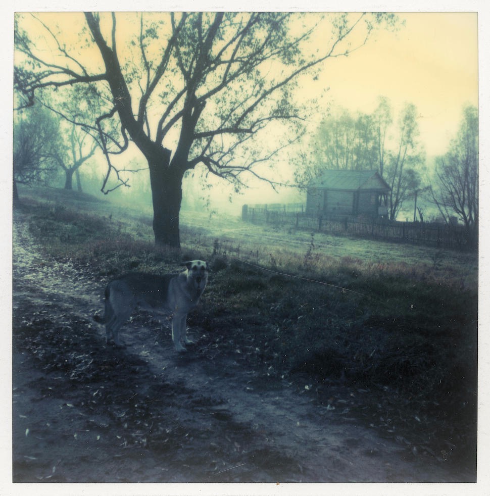 27 Gorgeous Andrei Tarkovsky Polaroids - Flashbak