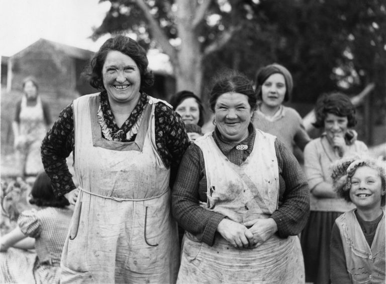 Picking Hops In Kent - 1900-1949 - Flashbak