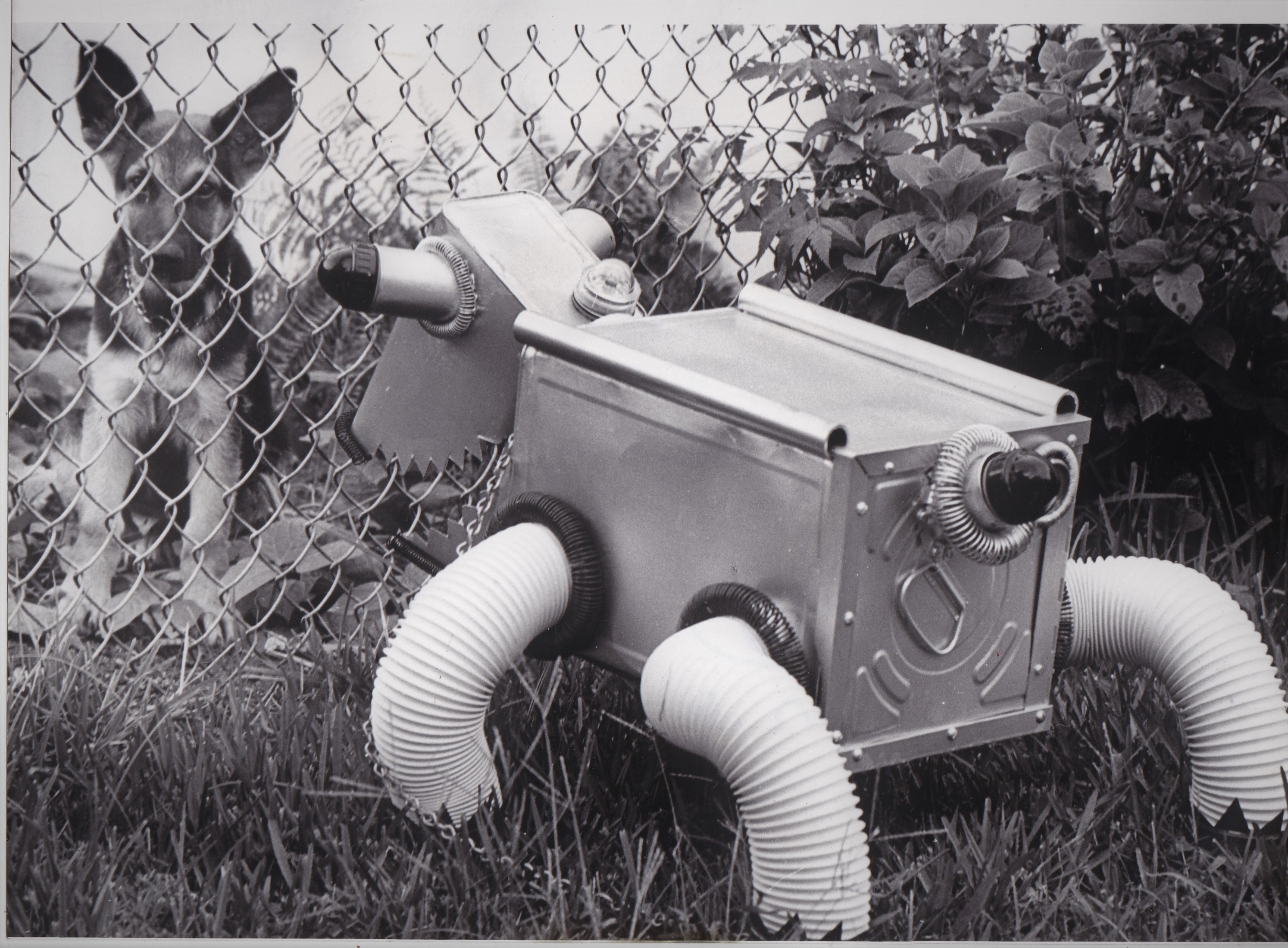 dog snapshots robots vintage