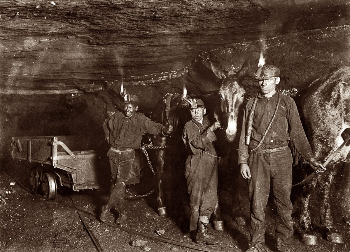 West Virginia coal miners and mules with open flame lamps, 1908