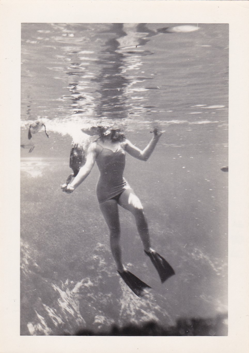 underwater snapshots photographs vintage