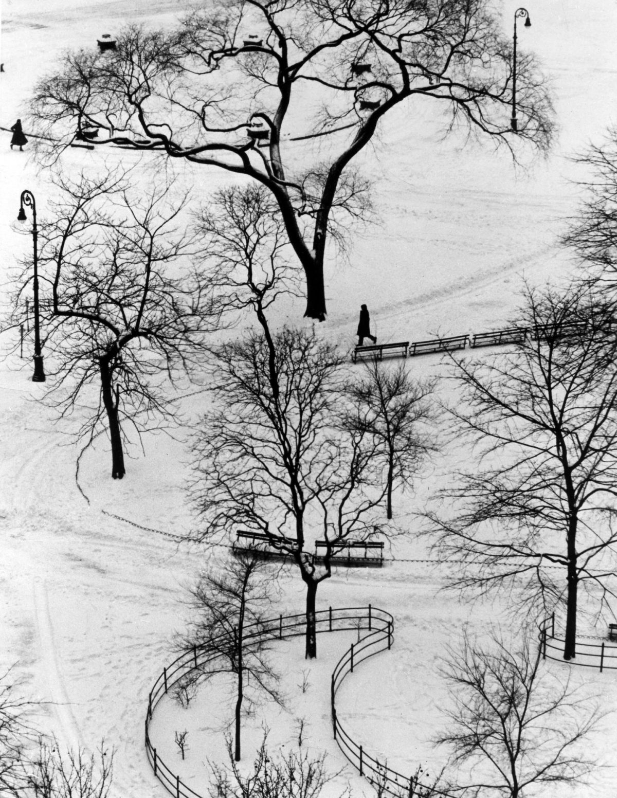 Image Washington Square Day. 1954.