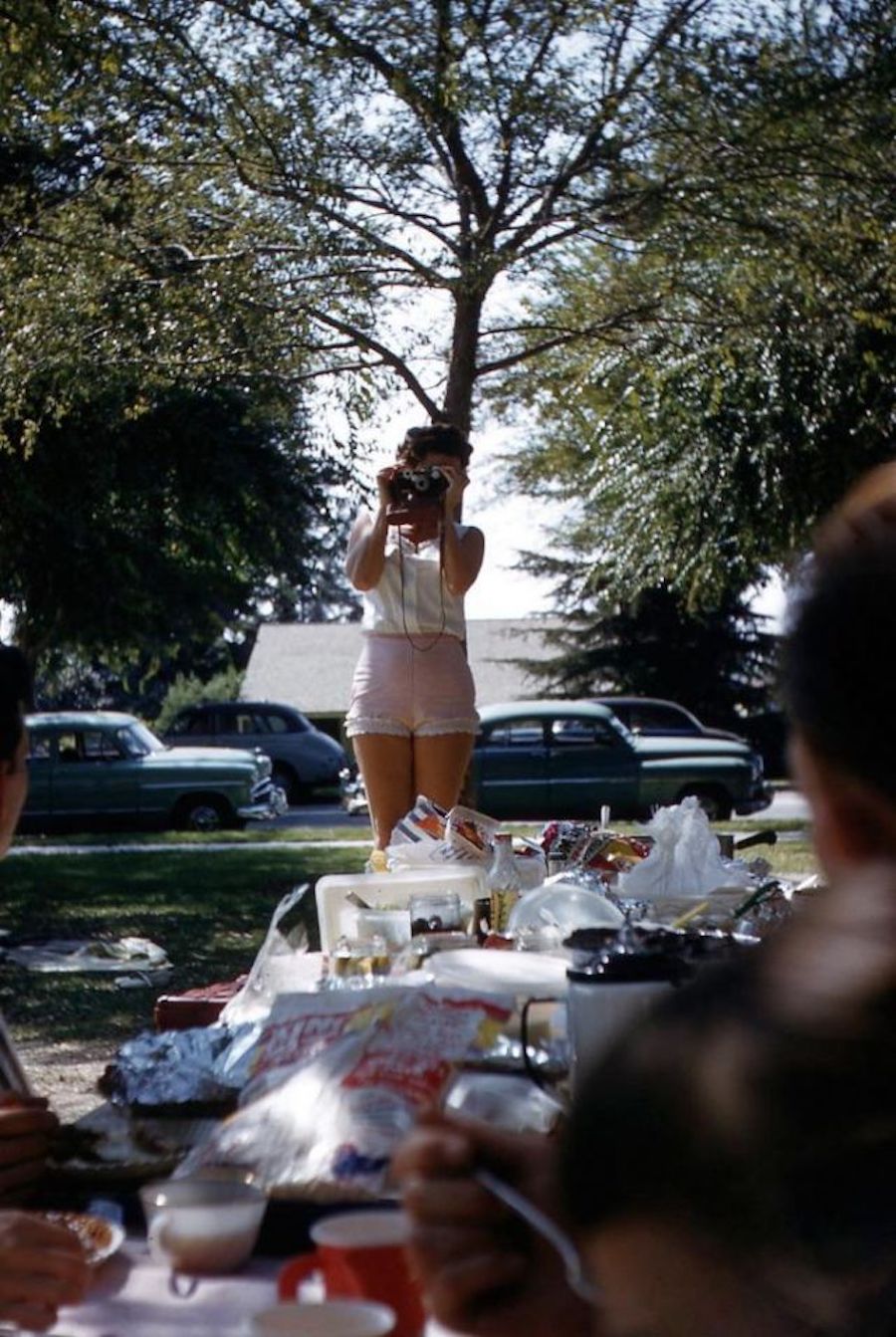 america picnics vintage photos kodachrome 1950s 1960s