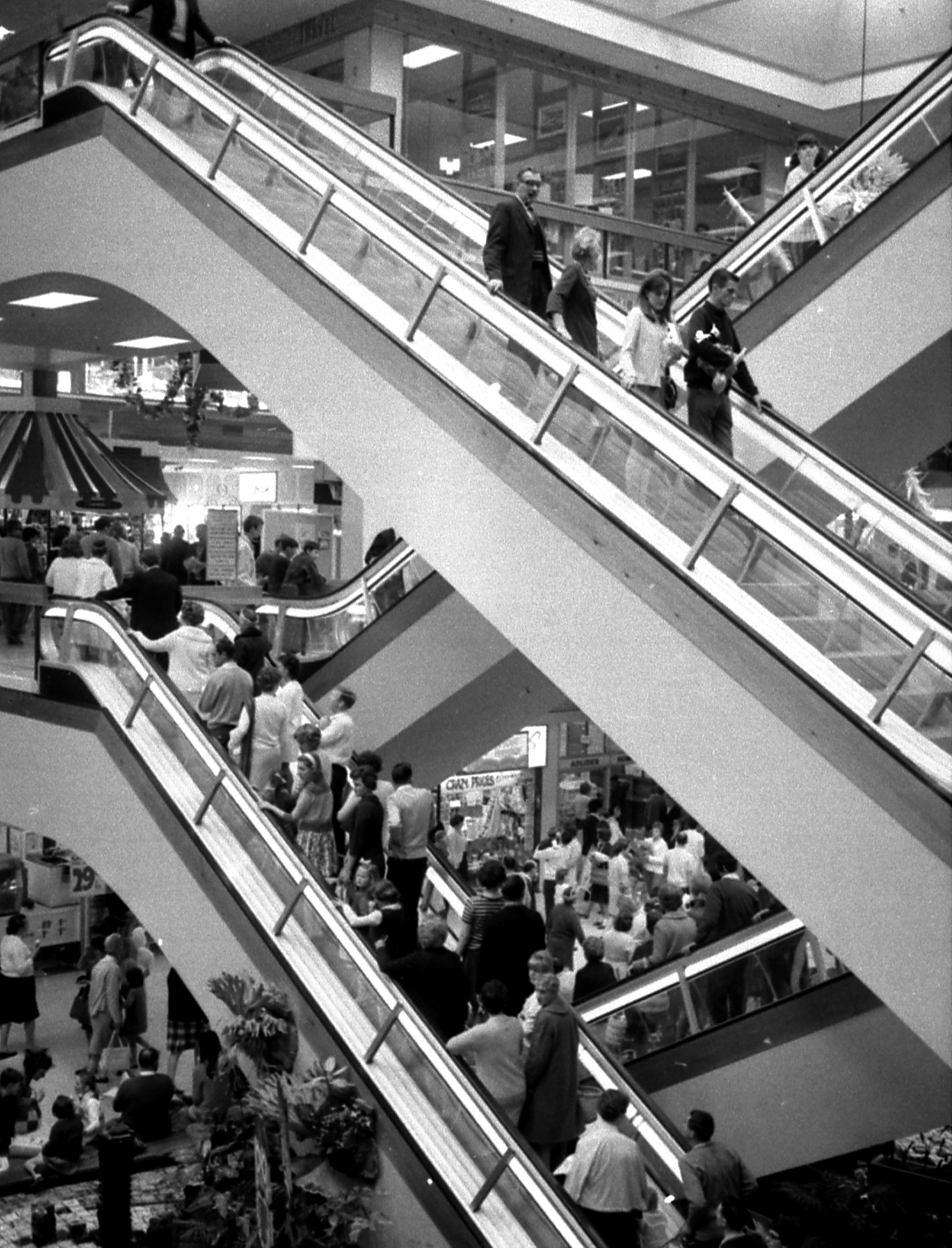 Wonderful Photographs Of Sydney Fifty Years Ago - Flashbak