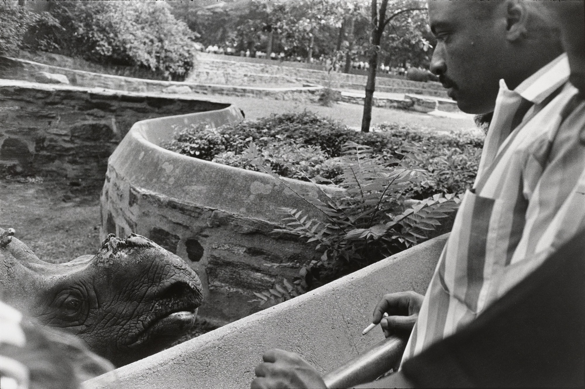 Watching 'The Most Dangerous Animals In The World' - The Bronx Zoo in 1963  - Flashbak