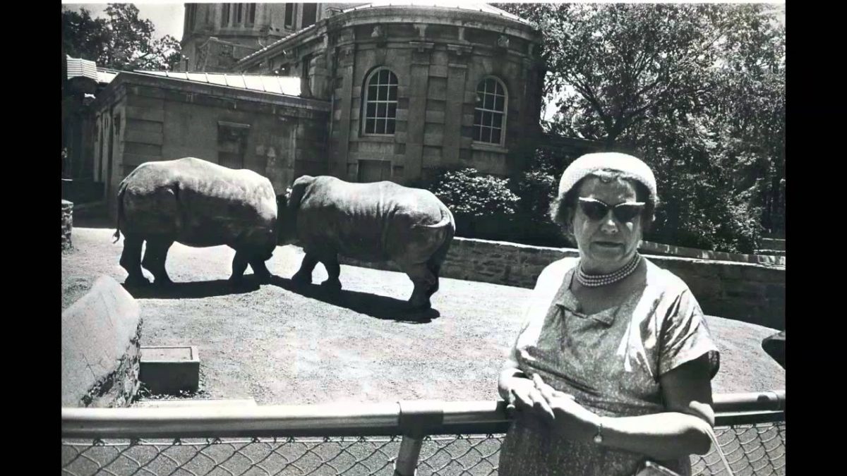 the Animals New York zoo Garry Winogrand