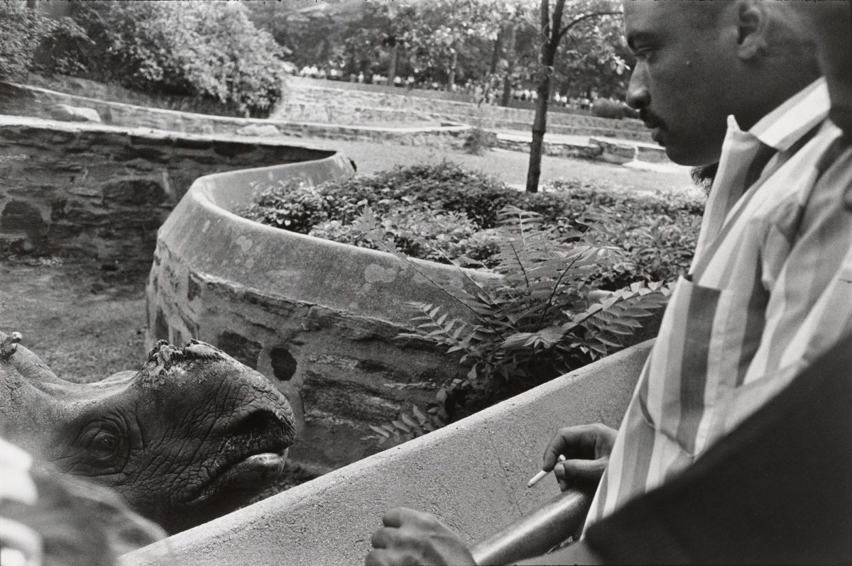 the Animals New York zoo Garry Winogrand