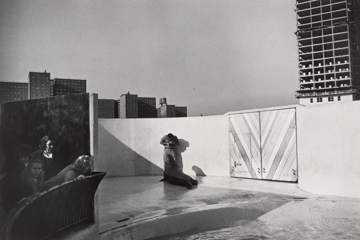 the Animals New York zoo Garry Winogrand