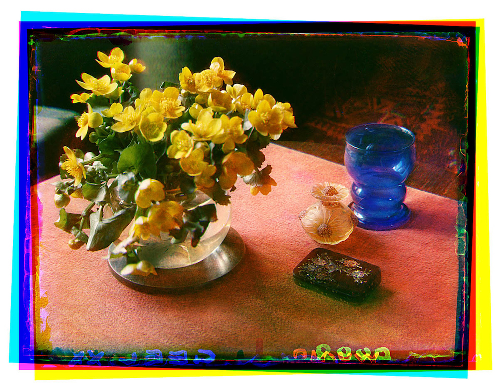 Bernard Eilers, still life, flowers, photography