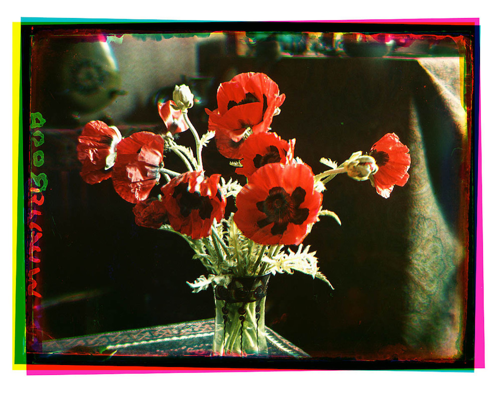 Bernard Eilers, flowers, still life, photography