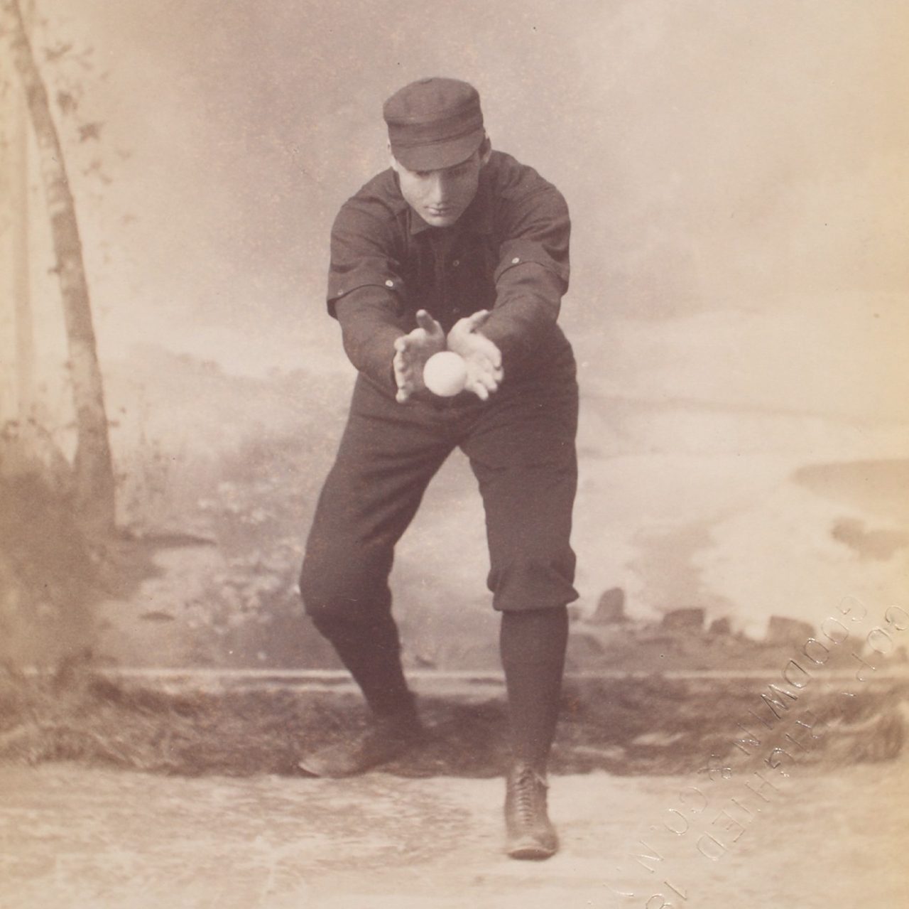 baseball portrait