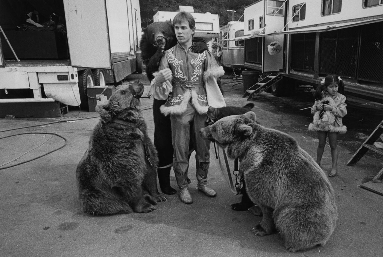Bears at Circus Vargas in California in 1990 Jill Freedman