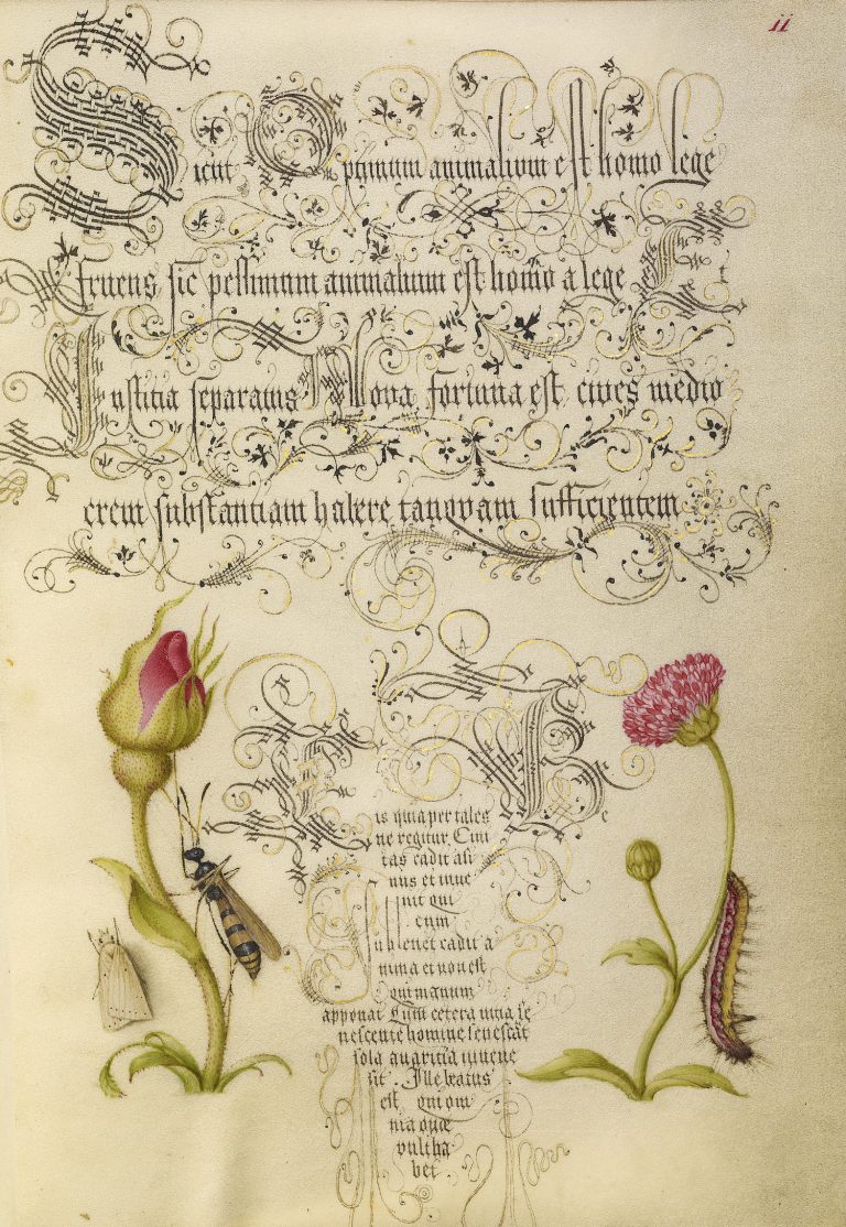 The Model Book of Calligraphy - An Illuminated Masterpiece (1591 - 1596 ...