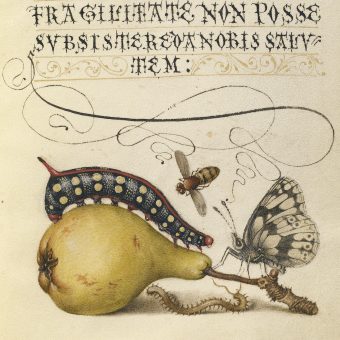 The Model Book of Calligraphy – An Illuminated Masterpiece (1591 – 1596)