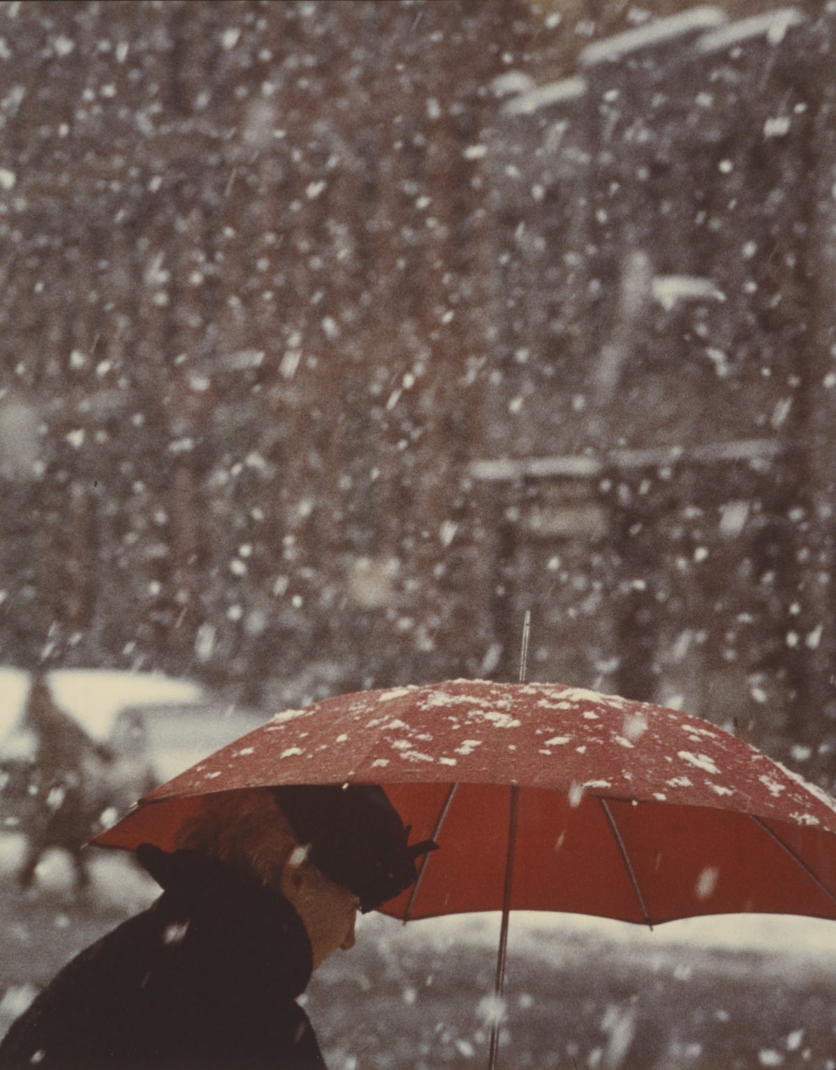 New York Saul Leiter snow rain winter