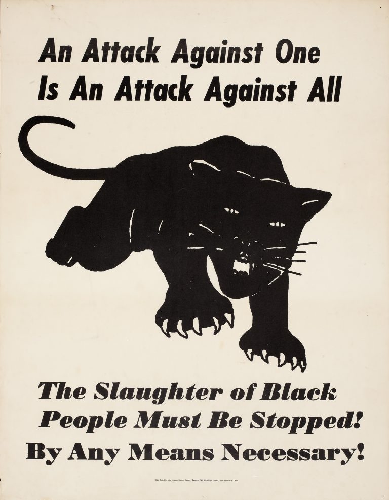 Extraordinary Pictures, Posters and Flyers of the Black Panther Party ...