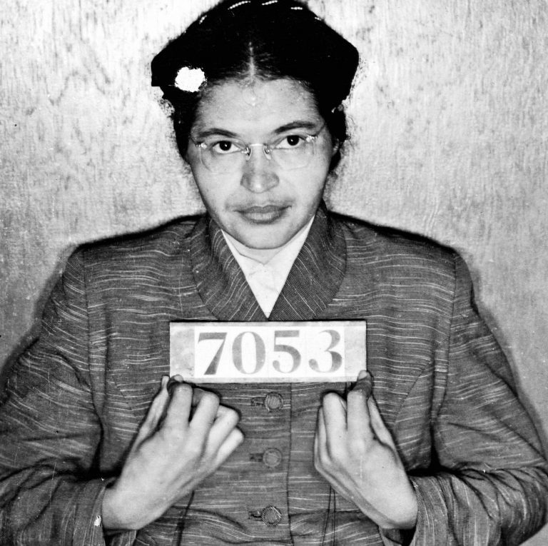 Beyond The Bus: The Story Of Rosa Parks' Lifetime Of Civil Rights ...