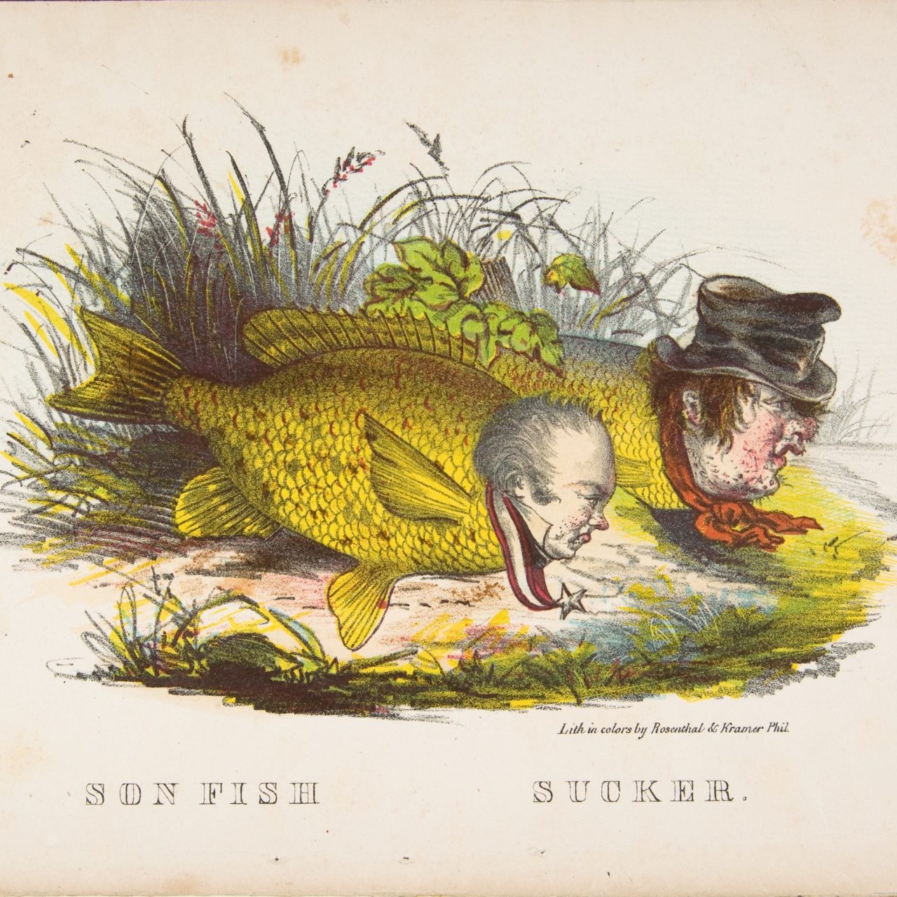 Satirical Illustrations From The Comic Natural History of the Human Race - 1851