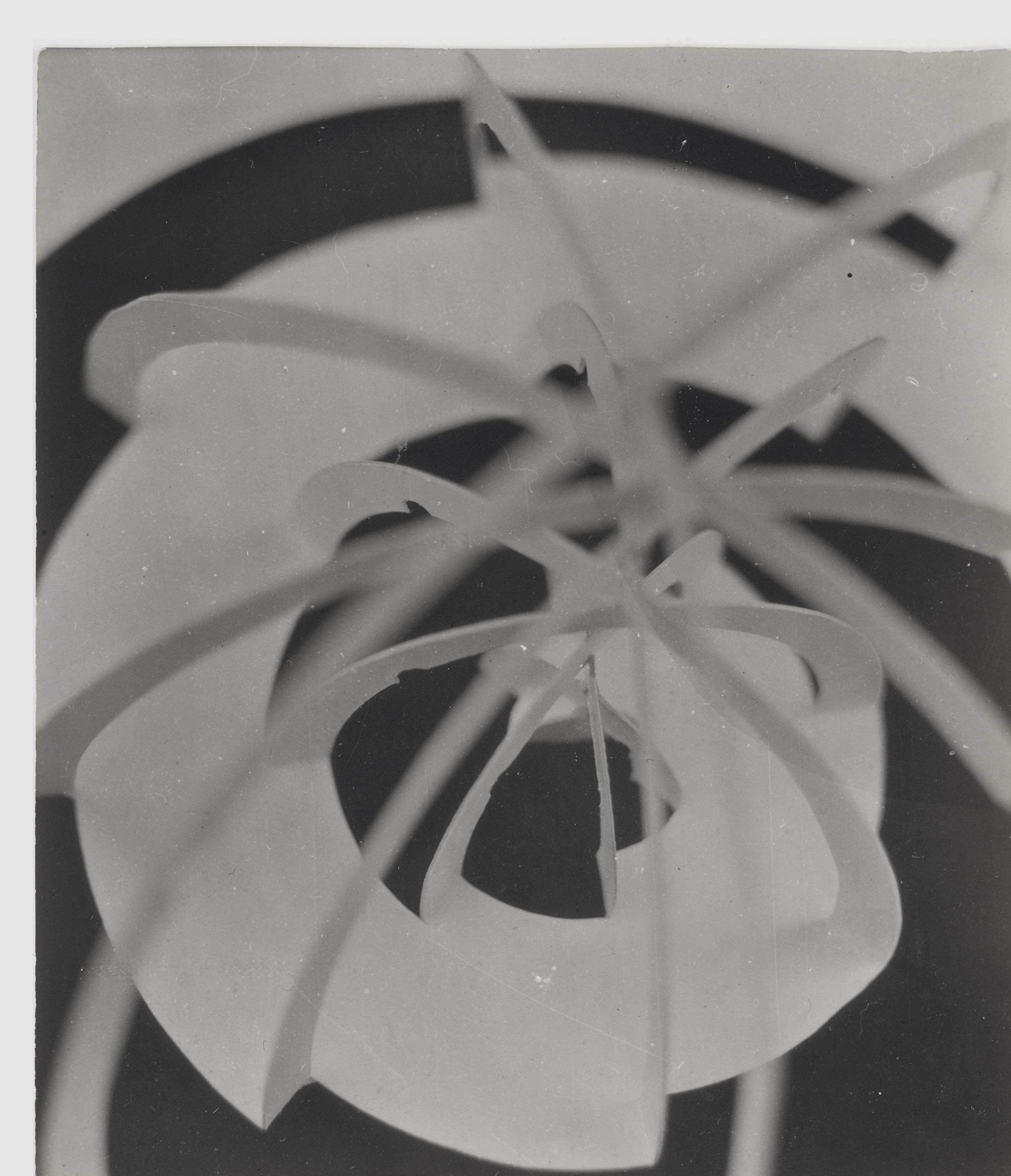 Papierübung Sharon, Bauhaus, Dessau, 1926