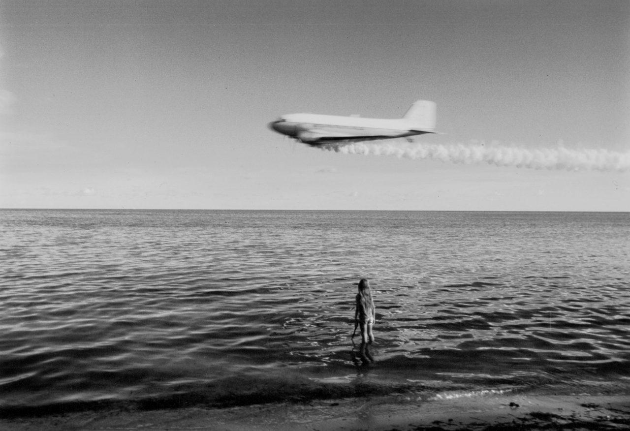 North Key Largo, 1980