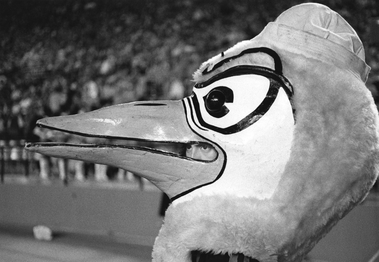 College mascot, Orange Bowl, Miami Florida