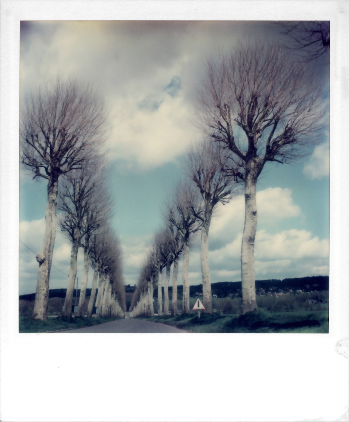 Winter Trees, Undated Polaroid 600 - Robby Müller Estate