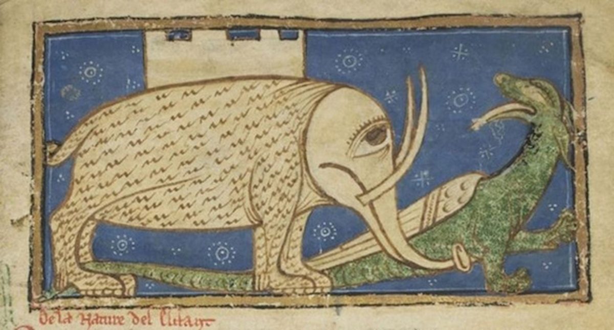 elephant in medieval art