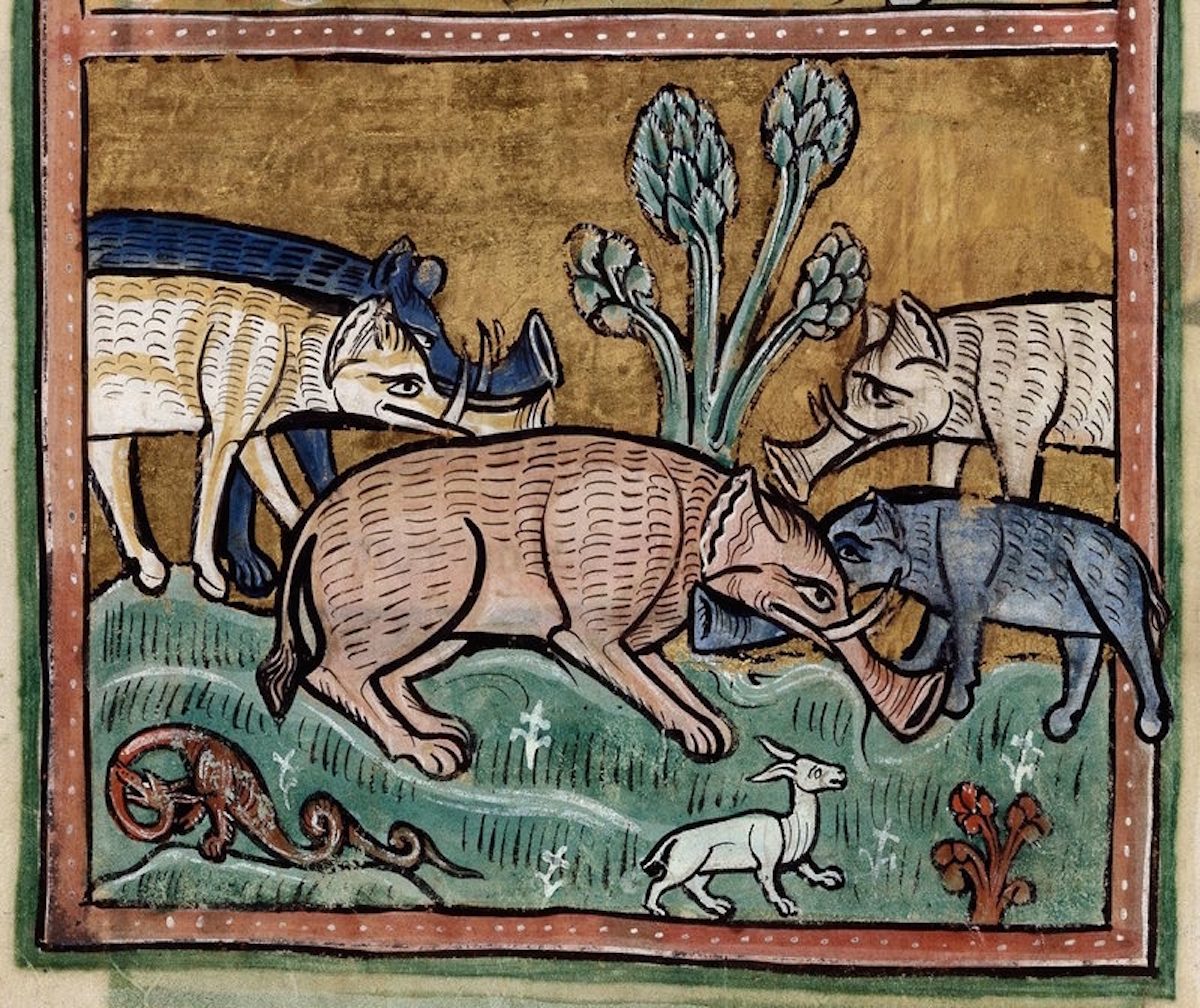 elephant in medieval art