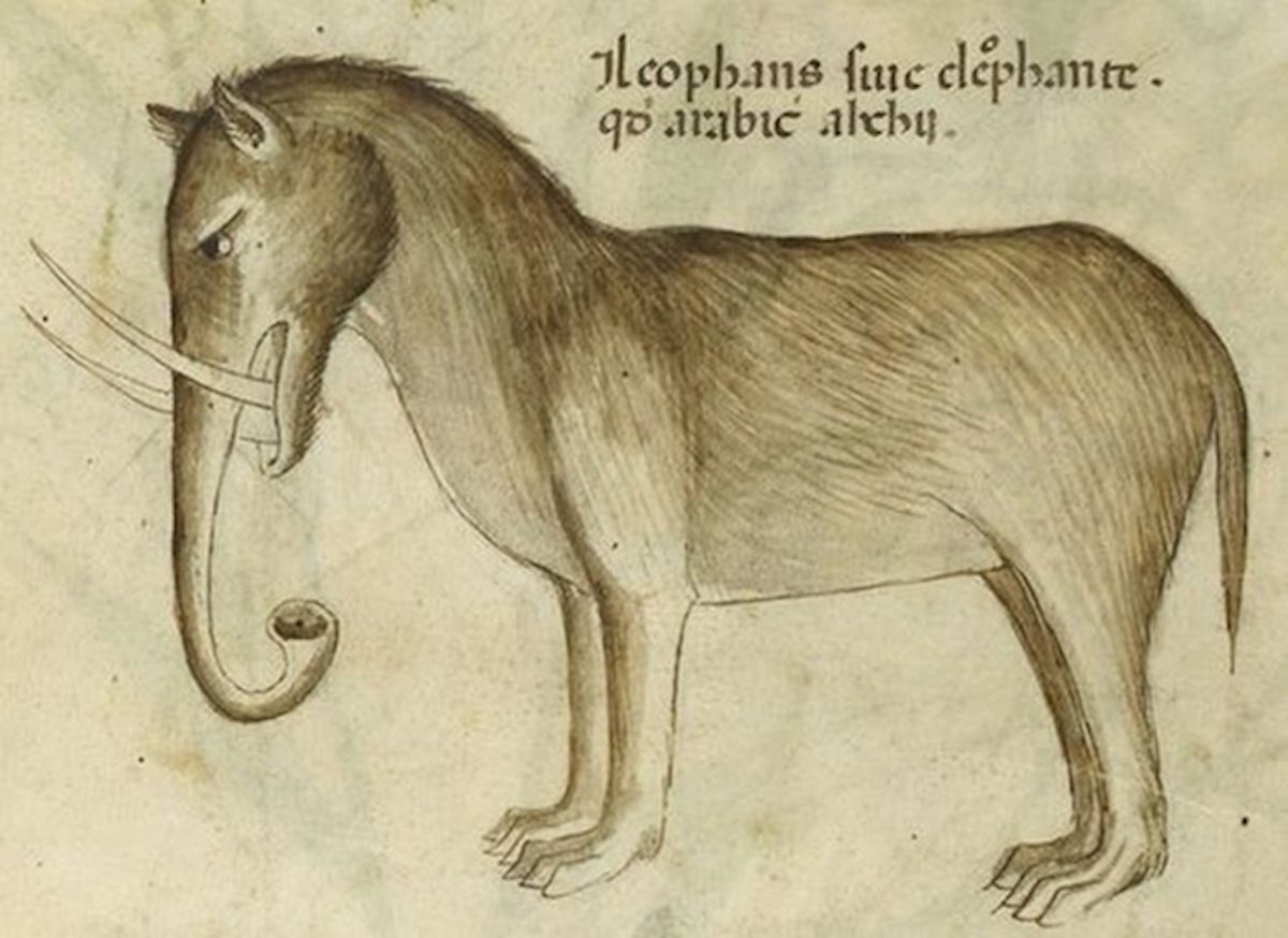 How Medieval Artists Saw Elephants Claws, Hooves, Trunks Like Trumpets