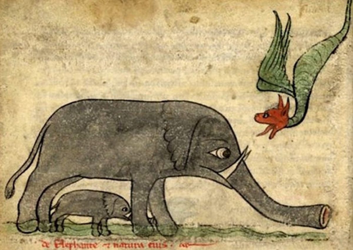 How Medieval Artists Saw Elephants Claws, Hooves, Trunks Like Trumpets