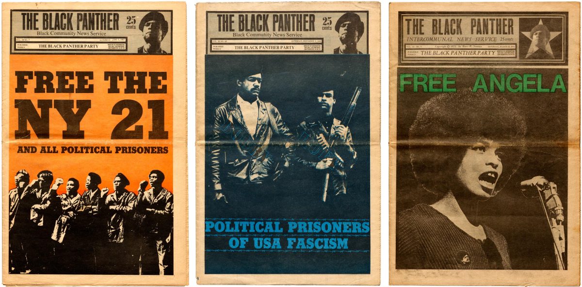 Black panthers art