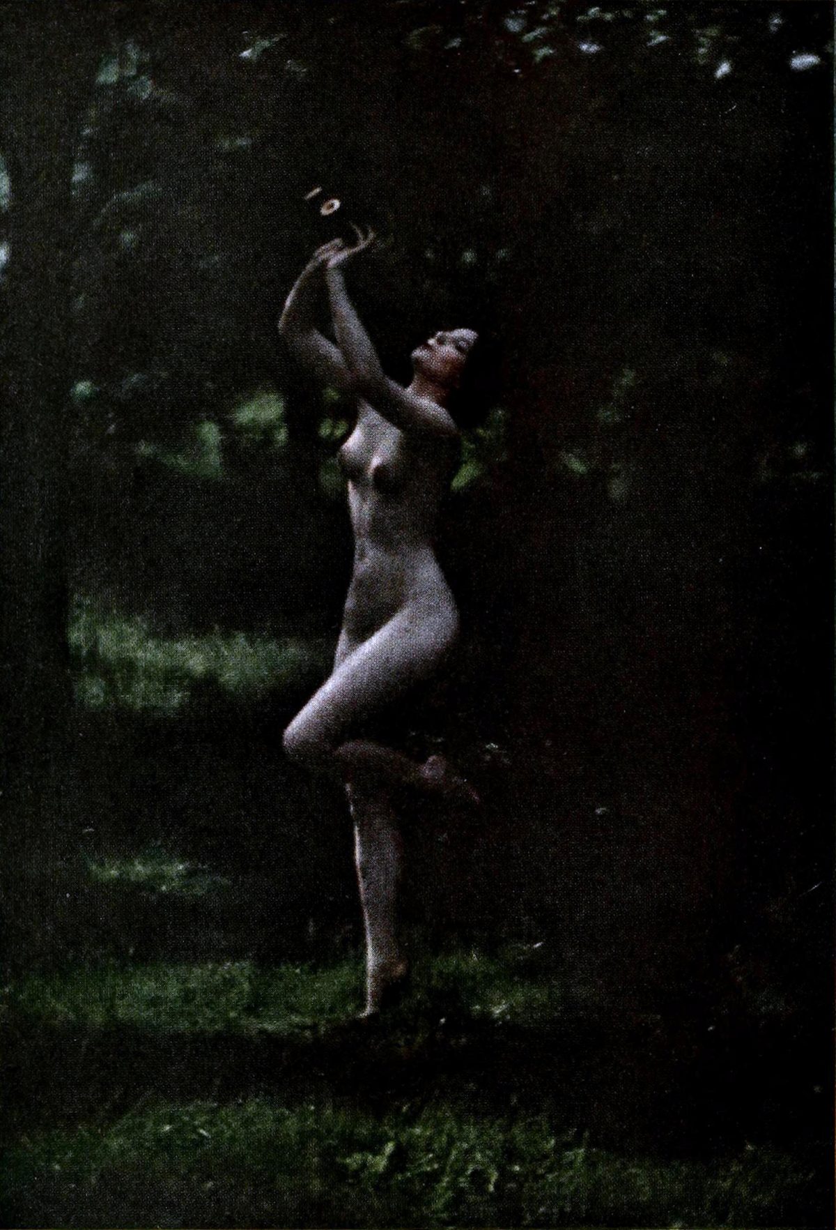 Arnold Genthe, nude, photography