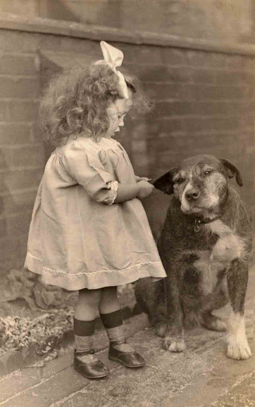 Jack Russell Dogs vintage photographs-27