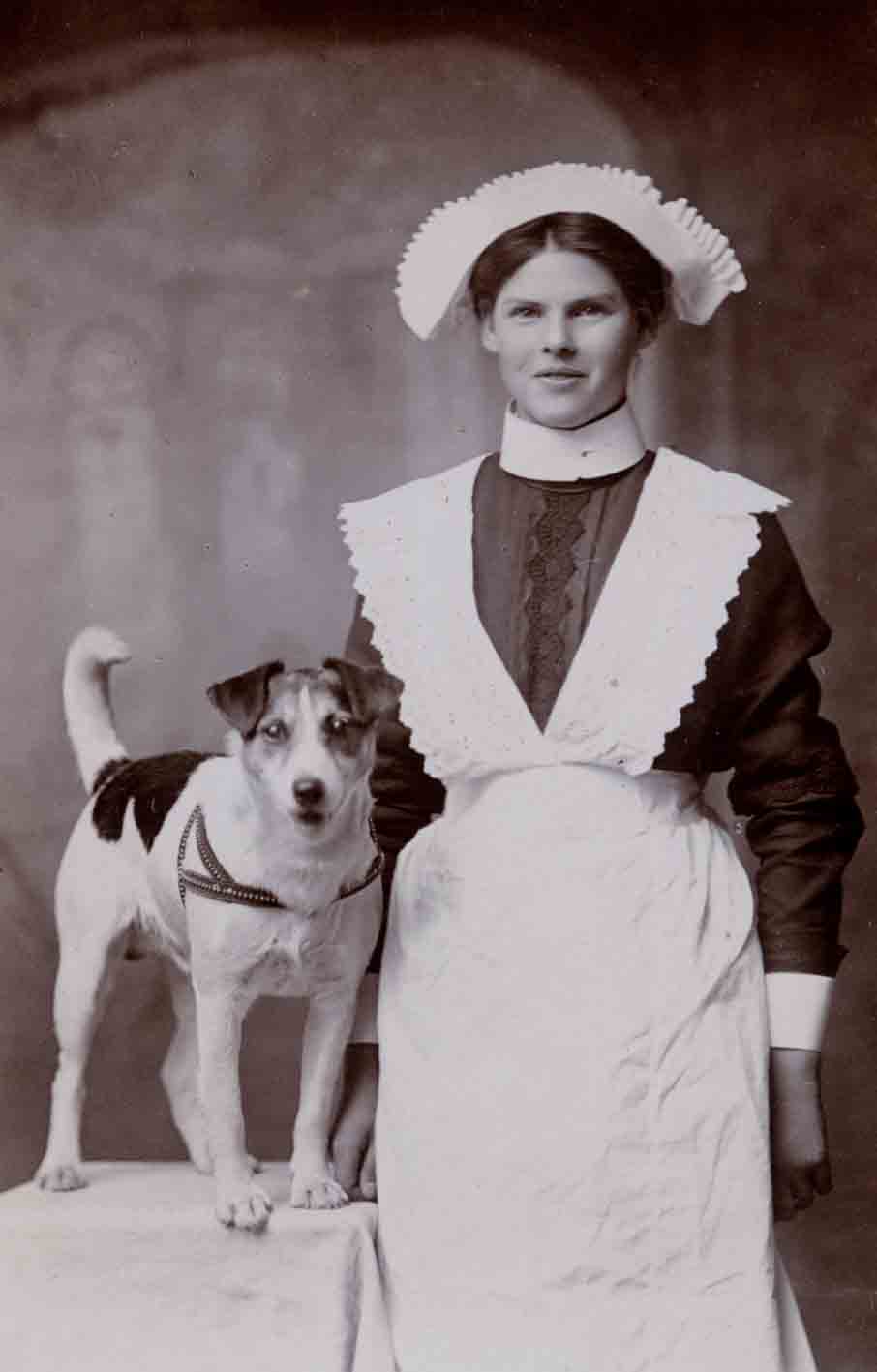 Jack Russell Dogs vintage photographs-27