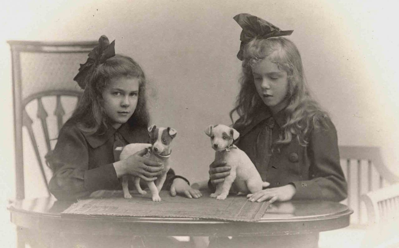 Jack Russell Dogs vintage photographs-27
