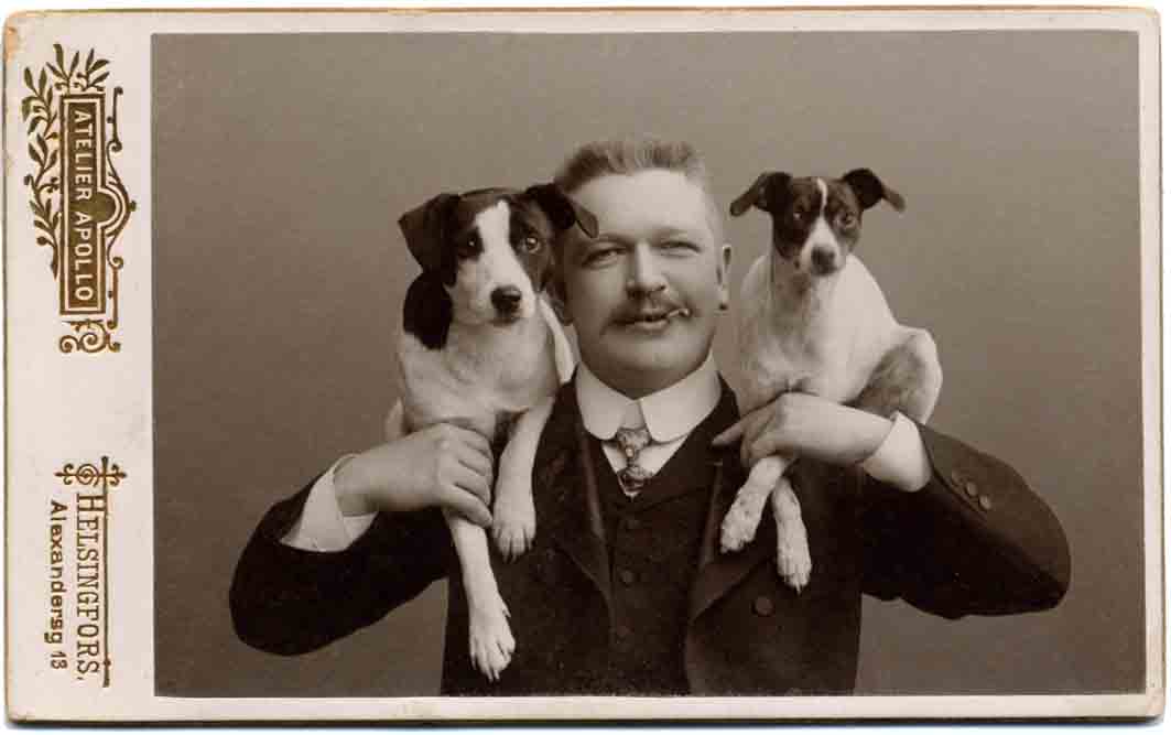 Jack Russell Dogs vintage photographs-27