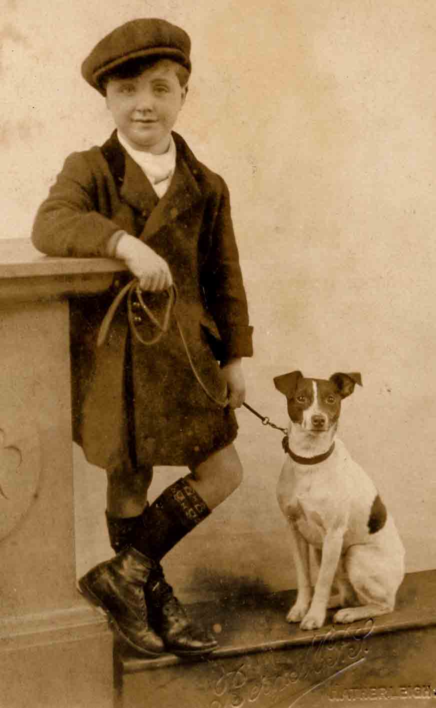 Jack Russell Dogs vintage photographs-