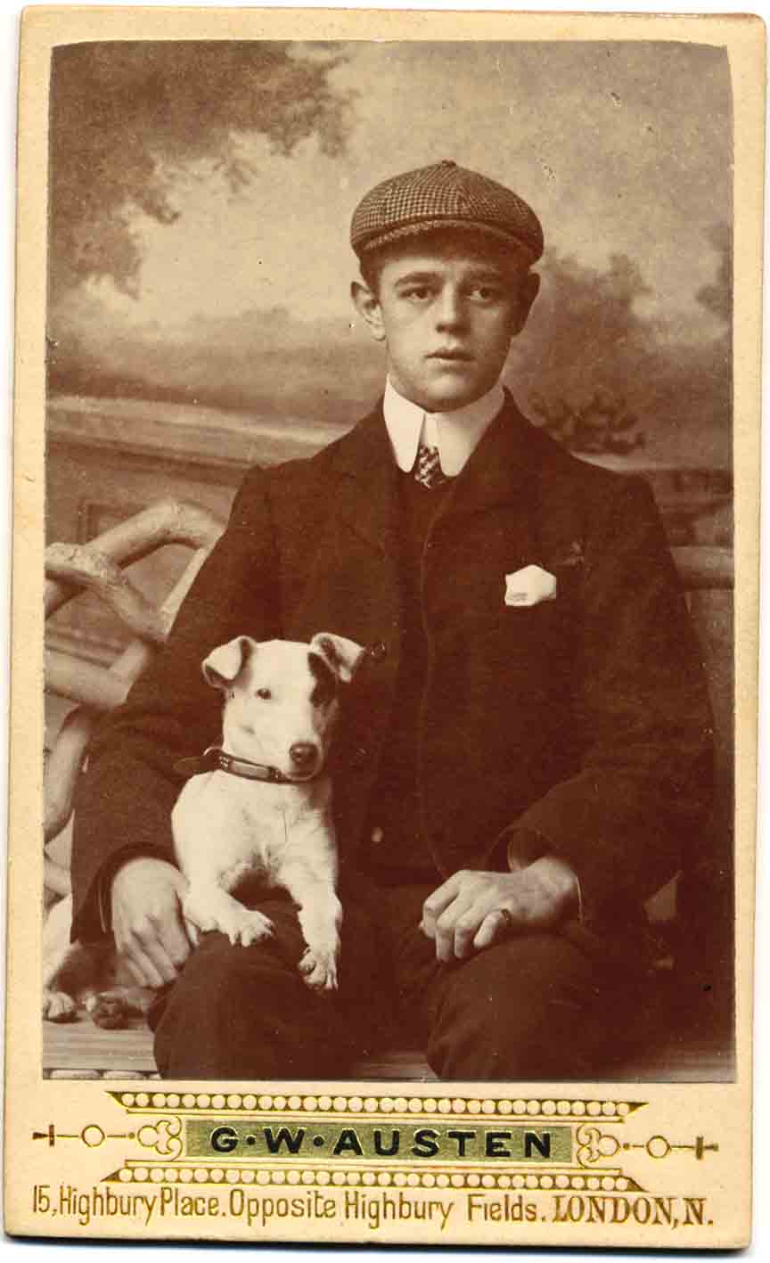 Jack Russell Dogs vintage photographs-