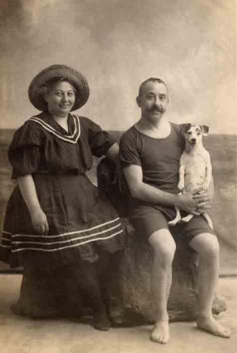 Jack Russell Dogs vintage photographs