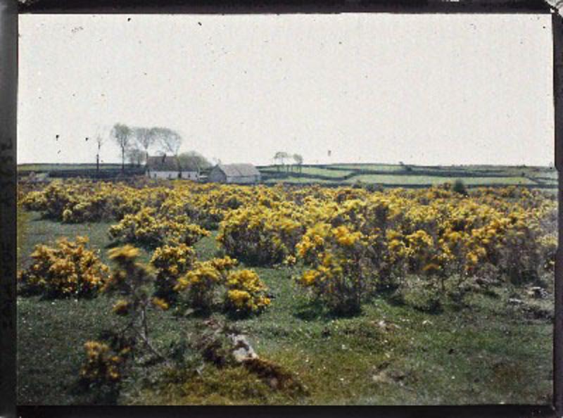South Connemara, Ireland, 29 May 1913