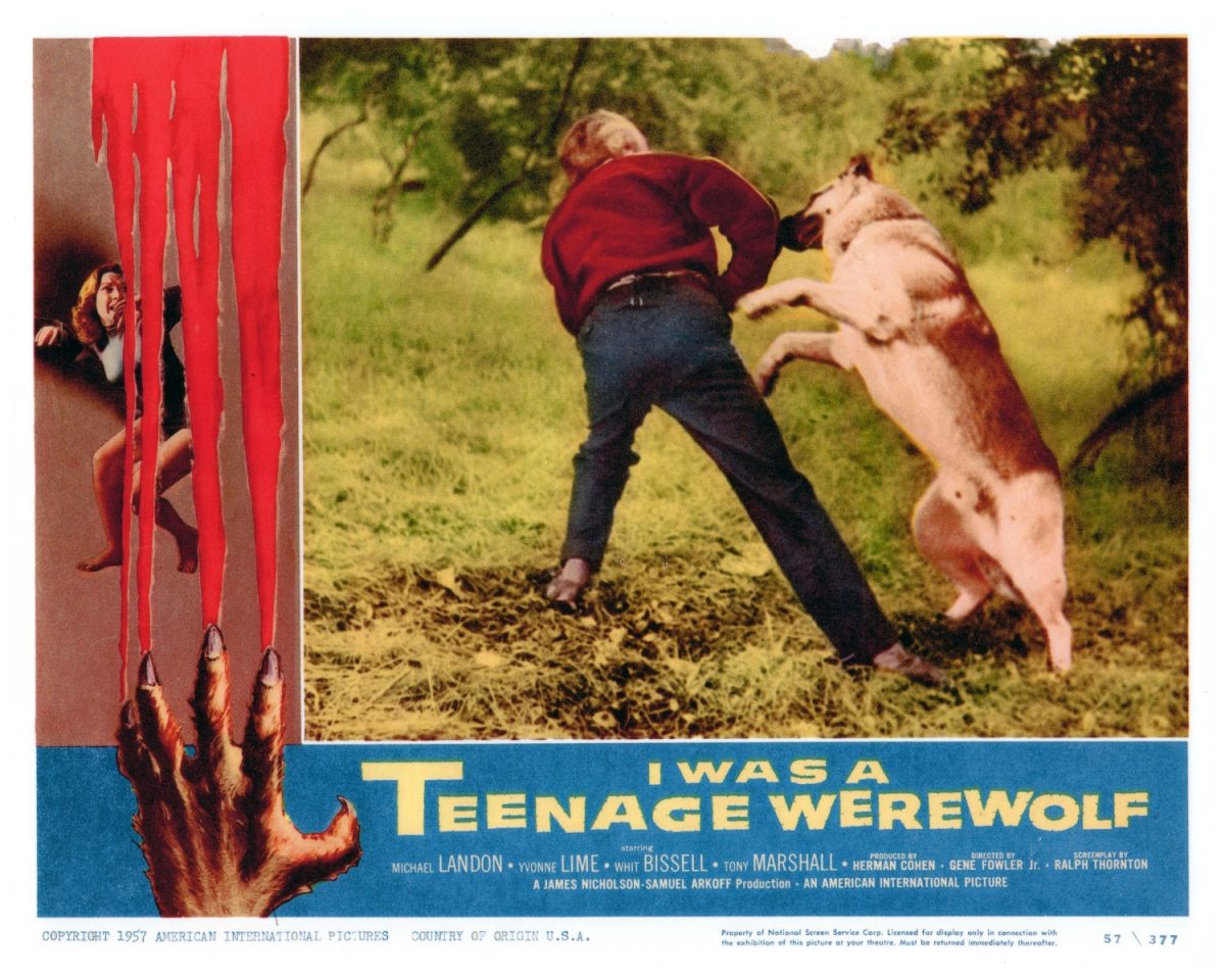 I Was A Teenage Werewolf. Michael Landis, horror, film