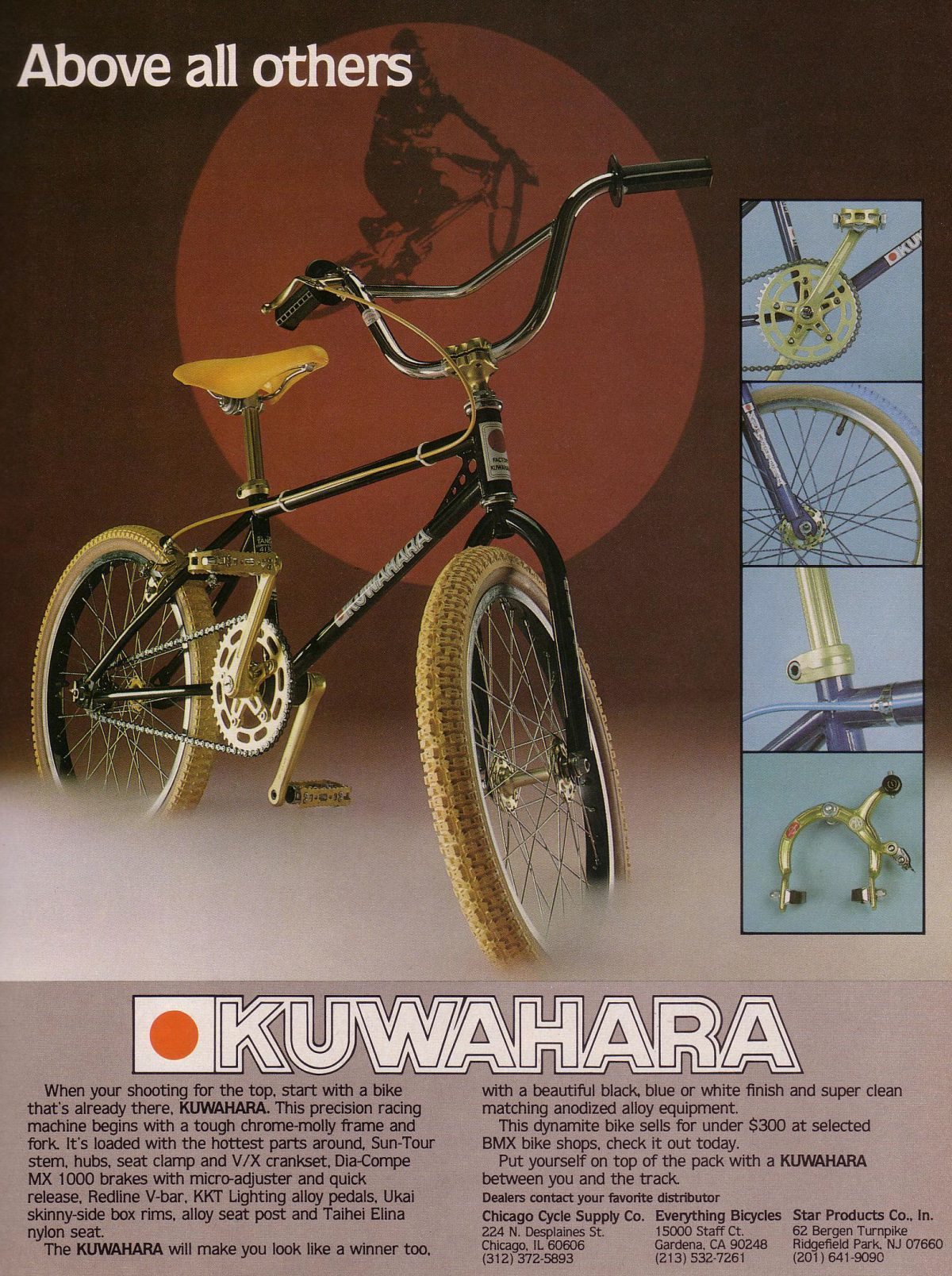 The Totally Rad Fad of 1980 s BMX Flashbak