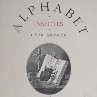 The Insect Alphabet by Léon Becker – 1883