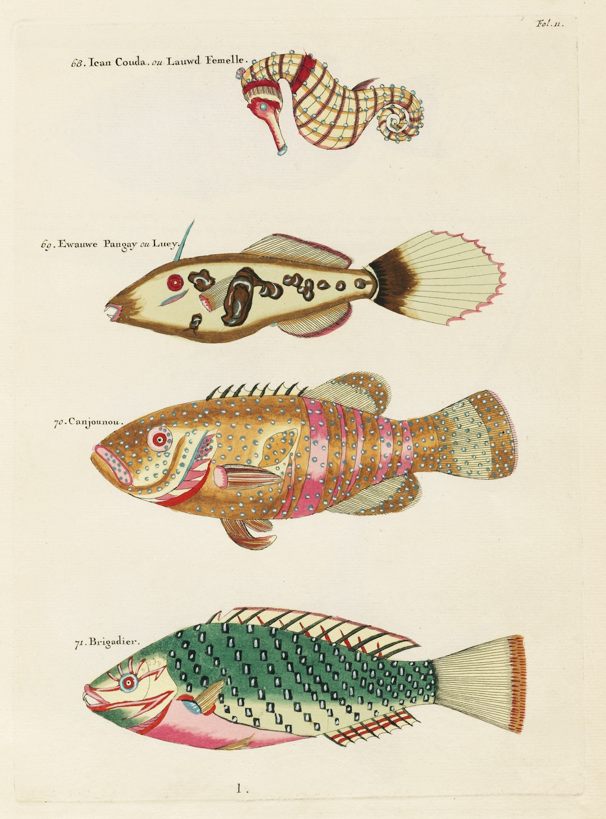 Louis Renard fish 18th Century art